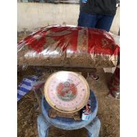 ราคา ปุ๋ยคอกจากมูลวัวแท้100% ไม่มีกลิ่น (20170203326)