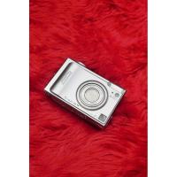 ราคา Fujifilm Finepix F11 (16896759179)