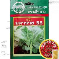 ราคา คะน้า คะน้าใบหมดอายุ31มีนาคม2566เมล็ดพันธุ์ คะน้า มหาราช55บรรจุประมาณ2000 เมล็ด คะน้าใบ ใบเยอะ ต้นอวบ ก้านอวบ ปลุกง่าย โ (23517167733)