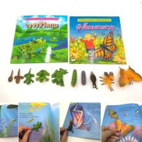 ราคา ชุดวงจรชีวิตสัตว์ พร้อมโมเดลจำลอง กบ และ ผีเสื้อ (1494679219)