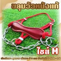 ราคา ขลุมวัว หนังแท้ ไซส์ M เม่าวัว เชือกแดง หนังแดง เชือกปีนเขา แข็งแรง ทนทาน เกรด A สำหรับวัว 7 เดือนถึง 2 ปี (19791839631)