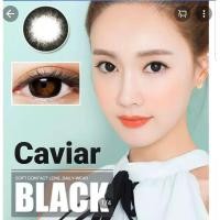 ราคา Caviar /Clavier ( Niky ) Pitchylens Sweety plus brown gray black Contactlens บิ๊กอาย คอนแทคเลนส์ ราคาถูก แถมตลับฟรี (7414806157)