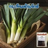 ราคา เมล็ดพันธุ์ กระเทียมต้น (Leek) กระทียมต้น ปลูกกระเทียมต้น เมล็ดกระเทียมต้น 40-100 เมล็ด [ซื้อ 10 แถม 1 คละได้] (21865286500)