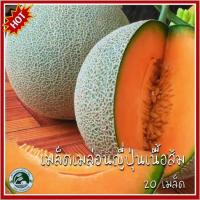 ราคา 20 เมล็ด เมล่อนญี่ปุ่น เมล็ดเมล่อนญี่ปุ่น โมมิจิ เนื้อส้ม เมล็ดเมล่อน เมล่อน (21479430955)