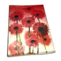 ราคา แฟ้มโชว์เอกสาร20ไส้ A4 คละลาย ORCA (4837376728)