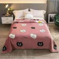 ราคา ผ้าห่มนาโนแบบลายการ์ตูน ขนาด 8 ฟุต คละลาย (6678128463)