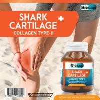 ราคา กระดูกอ่อนปลาฉลาม คอลลาเจนไทพ์ทู x 1 ขวด ไบโอแคป Shark Cartilage plus Collagen Type II Biocap Collagen Type 2 (19511150966)