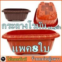 ราคา แพค8ใบ กระถาง โรมัน เตี้ย 11.5นิ้ว พลาสติก สี เกรดA ปลูก สลัด ผัก ราง ยาว เมล็ด ทานตะวัน แคคตัส ข้าวสาลี ขาว อิฐ เหลี่ยม (7639999381)