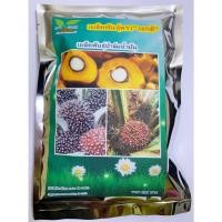 ราคา ขายส่ง 200 เมล็ด เมล็ดปาล์มน้ำมัน โกลด์เด้นเทเนอร่า GT ปาล์มน้ำมันลูกผสม(DxP) พืชเศรษฐกิจ มีใบรับรอง พืชน้ำมัน ไบโอดีเซล (16158467919)