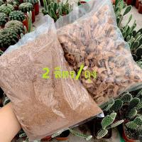 ราคา มะพร้าวสับถุงใหญ่ 2ลิตร มะพร้าวสับ/กาบมะพร้าว /ขุยมะพร้าว กาบมะพร้าวสับ รองก้นกระถาง ผสมดินปลูก (coconut husk) (3594990036)