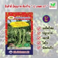 ราคา เมล็ดพันธุ์ ถั่วฝักยาวไร้ค้าง ตราภูเขาทอง ผักซอง ผักสวนครัว ป. เกษตร 67 (13572708626)
