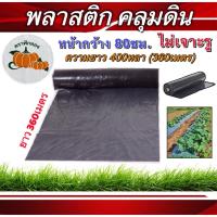 ราคา พลาสติกคลุมดิน ฟักทอง (ไม่เจาะรู) ขนาด80ซม.x400หลา ความหนา25ไมคอน (23480673404)
