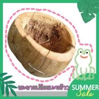 ราคา กระถางเปลือกมะพร้าวhandmade (6191106884)