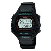 Casio Standard (DW-290-1VS)