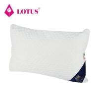 ราคา หมอน หมอนหนุน LOTUS ITALIAN MICRO VISCO 17X27 นิ้ว สีขาว หนอนหนุนนอน (8297206396)