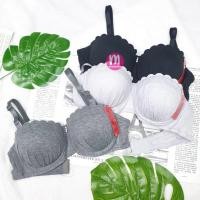 ราคา เสื้อชั้นใน AL810 & DQ117 ทรงครึ่งเต้า ดันหน้าอก สวมใส่สบาย เสื้อชั้นในผู้หญิง (18690881261)