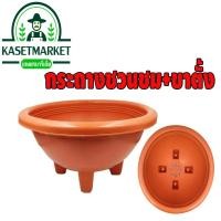 ราคา กระถางชวนชม+ขาตั้ง (มีรู) ขนาด 10.5 นิ้ว กระถางต้นไม้กระถางพลาสติก ชวนชม (3544235407)