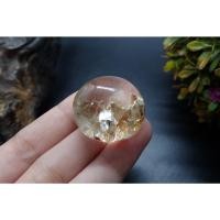 ราคา แก้วโป่งข่าม แก้วกาบเงินกาบทอง (19210006422)