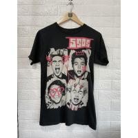 ราคา 5 seconds of summer เสื้อวินเทจ เสื้อวง (5985666948)