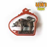 ราคา พญาหมูเขี้ยวเพชร หลวงปู่กาหลง เขี้ยวแก้ว วัดเขาแหลม จ.สระแก้ว (17639244610)