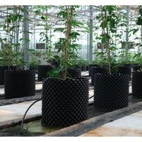 ราคา กระถางต้นไม้ DIY กระถางเพิ่มราก Air Pot Pruning (11201393956)