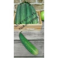 ราคา โมเดลผักปลอม แตงร้าน ขนาดเท่าของจริง ราคา/1ชิ้น (5679399593)