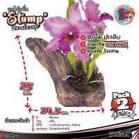 ราคา ตอไม้เรซิ่น ขอนไม้ธรรมชาติ สำหรับตกแต่งตู้ปลา ตู้ไม้น้ำ ตกแต่งสวน (แพค 2 ชิ้น) (18544141340)