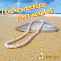 ราคา Andaman seashell สร้อยคอโชคเกอร์จากเปลือกหอย 1-2 สีชมพู (16374839204)