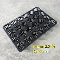 ราคา ถาดหลุมกลม 2.5นิ้ว 24 ช่อง (11805263636)