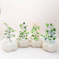 ราคา (handmade)ต้นไม้คริสตัล ต้นไม้มงคล ของชำร่วย ของขวัญขึ้นบ้านใหม่ ของแต่งบ้าน ของขวัญรับปริญญา (1173180379)