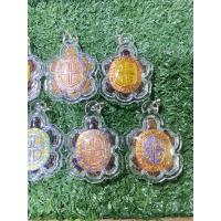 ราคา เต่าเรือนกะลาตาเดียว (อ.คม สุพรรณบุรี) (20986713482)