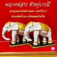 ราคา พญาคชสาร ช้างคู่บารมี ขนาดหน้าตัก 3 นิ้ว​ สูง​ 5​ นิ้ว​ ลึก​ 5​ นิ้ว (ราคาต่อ1องค์)​ (6693726441)