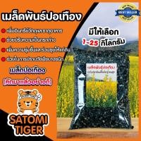 ราคา เมล็ดปอเทือง แพ็คละ 1 กิโลกรัม ปอเทือง พันธ์ปอเทือง เม็ดปอเทือง ดอกปอเทือง ปอเทืองดอกเหลือง ต้นปอเทือง (14849113126)