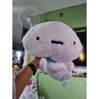 ราคา หมาชิโร่ ท่านอน น่ารักๆ (18588172051)