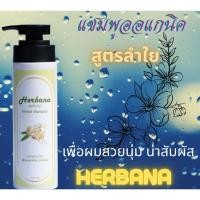 ราคา แชมพูออแกนิค บริสุทธิ์100% (16611240289)