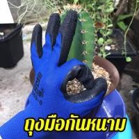 ราคา ถุงมือกันหนาม ถุงมือปลูกกระบองเพชร ถุงมือกันหนามแคคตัส หนามชะอม ถุงมือทำสวน ถุงมือกันน้ำกันลื่น สีน้ำเงิน (3547629065)