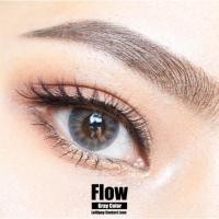 ราคา คอนแทคเลนส์ ขนาดบิ๊กอาย ✨Gray✨ Flow (lollipop) (1324772265)