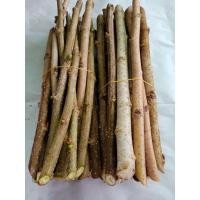 ราคา กิ่งพันธ์มัลเบอรี่เชียงใหม่60 (6854173768)