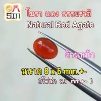 ราคา ❤️A316 8 x 6 mm.+- 1 เม็ด โมรา สีแดง ไข่ หลังเบี้ย พลอย อาเกต โมรา ก้นแบน Agate Natural Chalcedony ธรรมชาติ (18087066182)