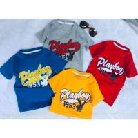 ราคา เสื้อยืดสกรีนกำมะหยี่ (2158798864)