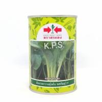 ราคา ผักกาดกวางตุ้งทศกัณฐ์ 37 ศรแดง ขนาด 100 กรัม ตราศรแดง (4258812240)