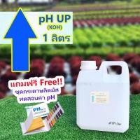 ราคา pH​ Up น้ำยาเพิ่มค่าพีเอช​ 1ลิตร (โพแทสเซียมไฮดรอกไซด์ KOH) แถมฟรีกระดาษลิตมัสวัดค่า pH 1เล่ม (3787527111)