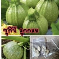 ราคา เมล็ดพันธุ์ ผัก แตงญี่ปุ่น ซูกินีลูกกลม ซูกินี (10แถม1คละอย่างได้) (9086080394)