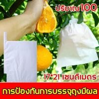 ราคา ถุงห่อผลไม้ (แพ็ค 100 ใบ) ถุงห่อผลไม้กันแมลง ถุงห่อผลไม้กันน้ำ ถุงห่อมะม่วง ถุงคาร์บอน (20947244188)