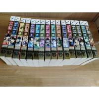 ราคา เปลวฟ้าผ่าปฐพี 1 - 17 จบ (ขาดเล่ม 4) (12601484347)