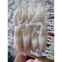 ราคา หมึกไข่แดดเดียว300กรัม (8254579685)