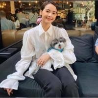 ราคา เสื้อแบรนด์ Mitr ของแท้ (9613178701)