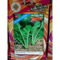 ราคา เมล็ดผักกาดเขียว​ ผักชุนฉ่าย พันธุ์ บิ๊กเขียวน้อย 10 แถม 1 เมล็ดผัก เมล็ดพันธุ์ ตรา สี่ทิศ 4ทิศ​ ชุนฉ่าย (4015009220)