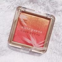 ราคา Cute Press Nonstop Beauty Ombre Blush คิวเพรส #02 Peach Passion (8314141195)
