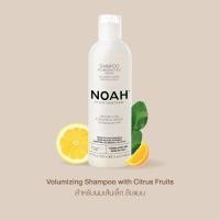 ราคา NOAH Volumizing shampoo with citrus fruits แชมพูสระผม (250ml) (7332091251)